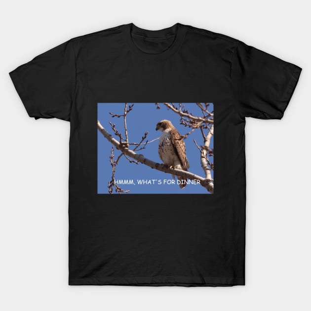 HUNGRY HAWK T-Shirt by Judy Geller